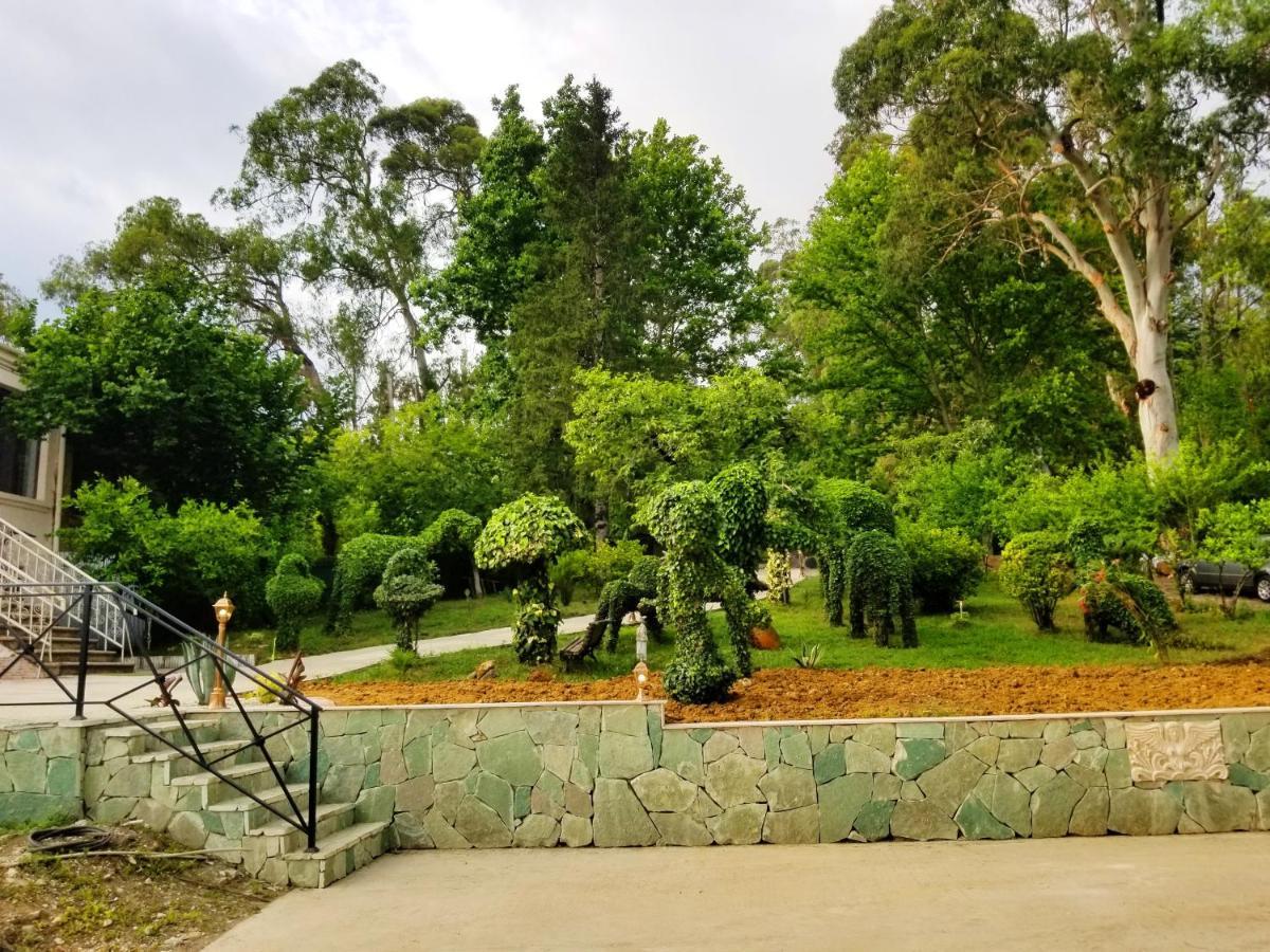 Гостевой дом Vita Garden Цхалтубо Экстерьер фото