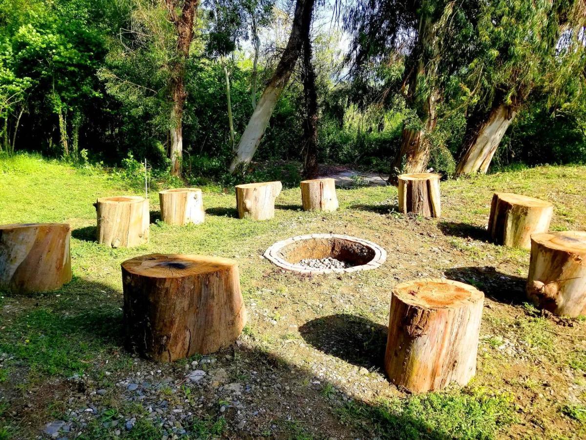 Гостевой дом Vita Garden Цхалтубо Экстерьер фото