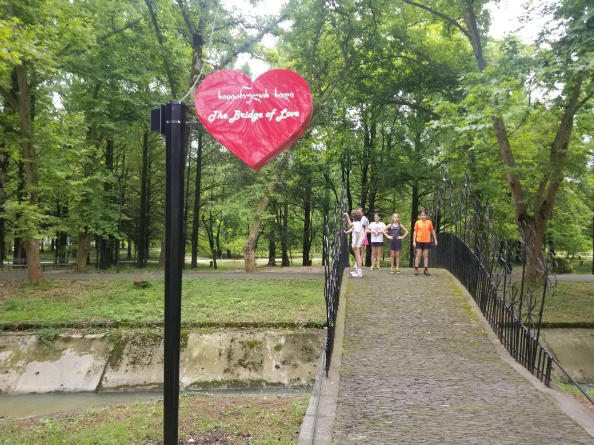 Гостевой дом Vita Garden Цхалтубо Экстерьер фото