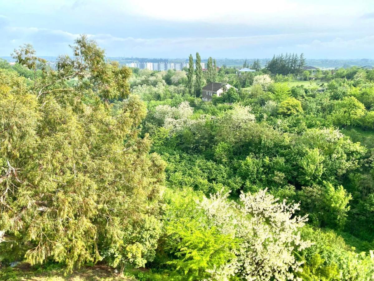 Гостевой дом Vita Garden Цхалтубо Экстерьер фото