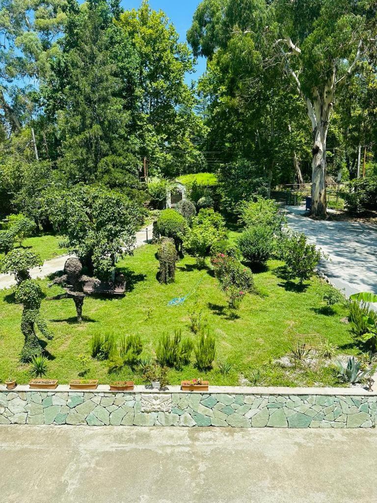 Гостевой дом Vita Garden Цхалтубо Экстерьер фото