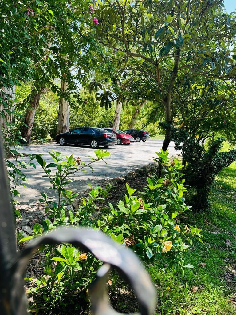 Гостевой дом Vita Garden Цхалтубо Экстерьер фото